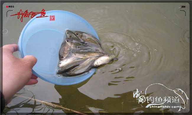 风雨无阻之我爱飞鱼去‘*欢寻**’！