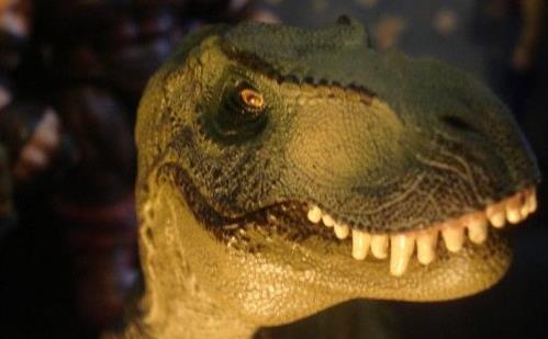 恐龙图片和名字介绍大全集 (儿童认识恐龙的名字和图片)