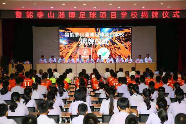 山东鲁能在金元足球期间赚了多少,中超金元时代结束后的鲁能