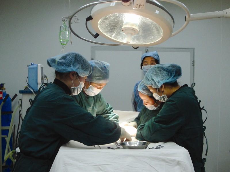 什么是宫外孕它的危害往往没你们想的那么简单