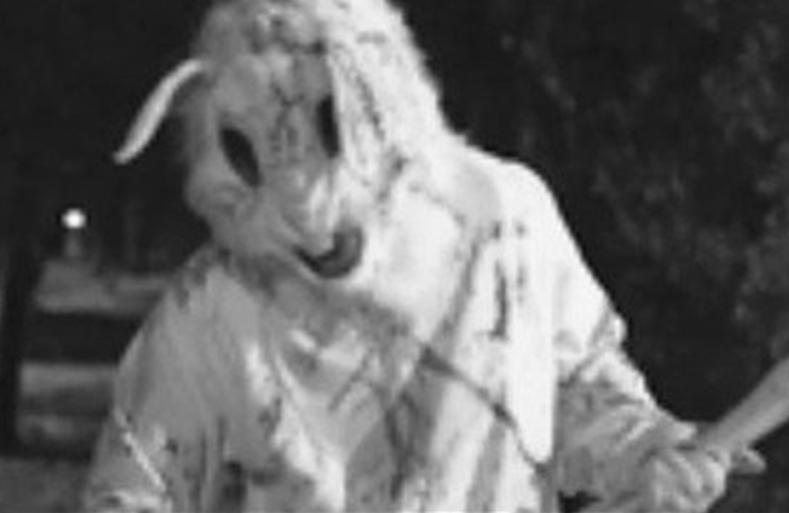 揭秘：神秘的兔子杀手隐藏在“Bunny隧道”的真相