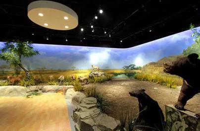 沈阳五一假期游乐场推荐,六一玩开心游乐园