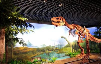 沈阳五一假期游乐场推荐,六一玩开心游乐园