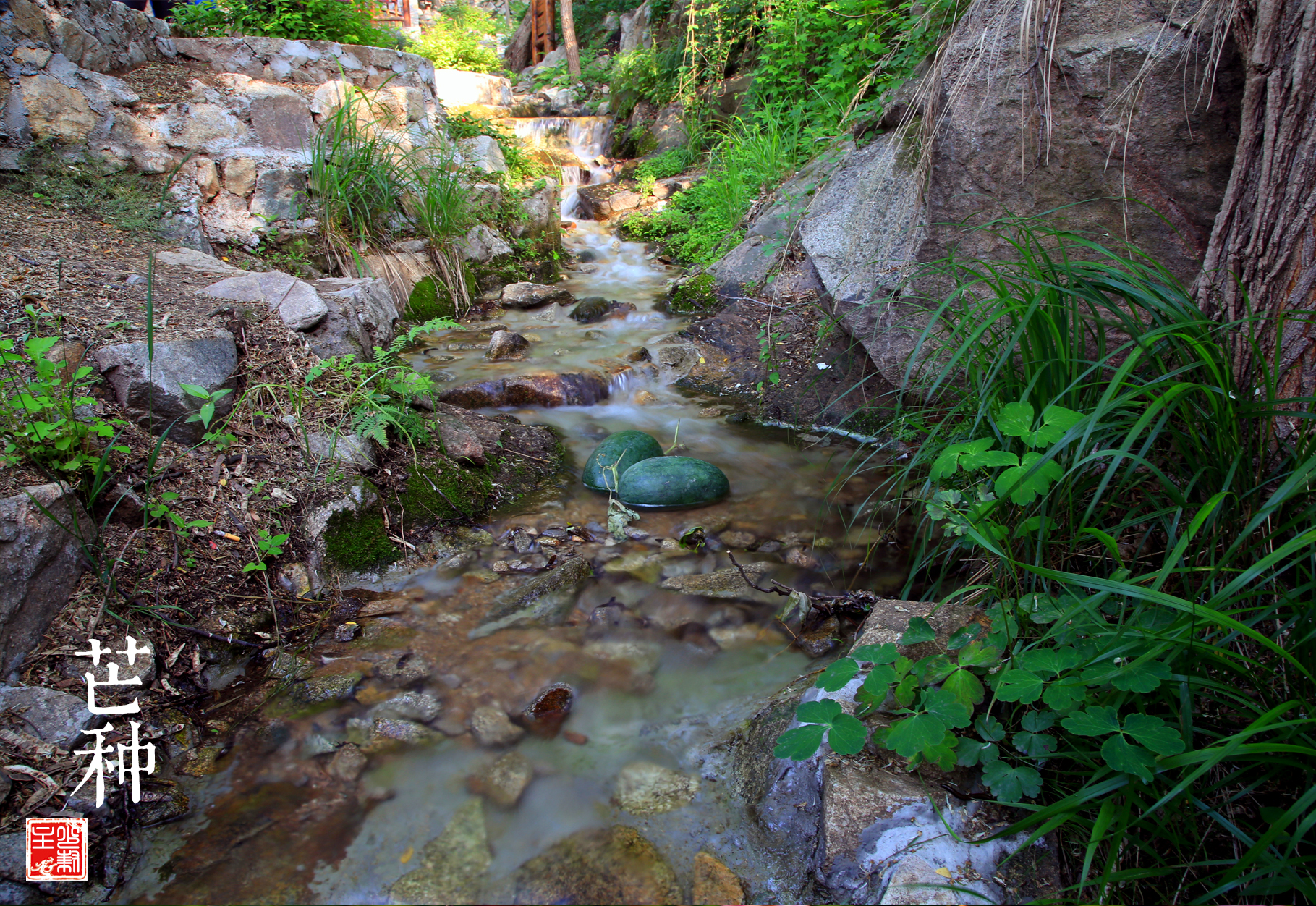 猴年马月是什么说法,猴年马月有什么说法