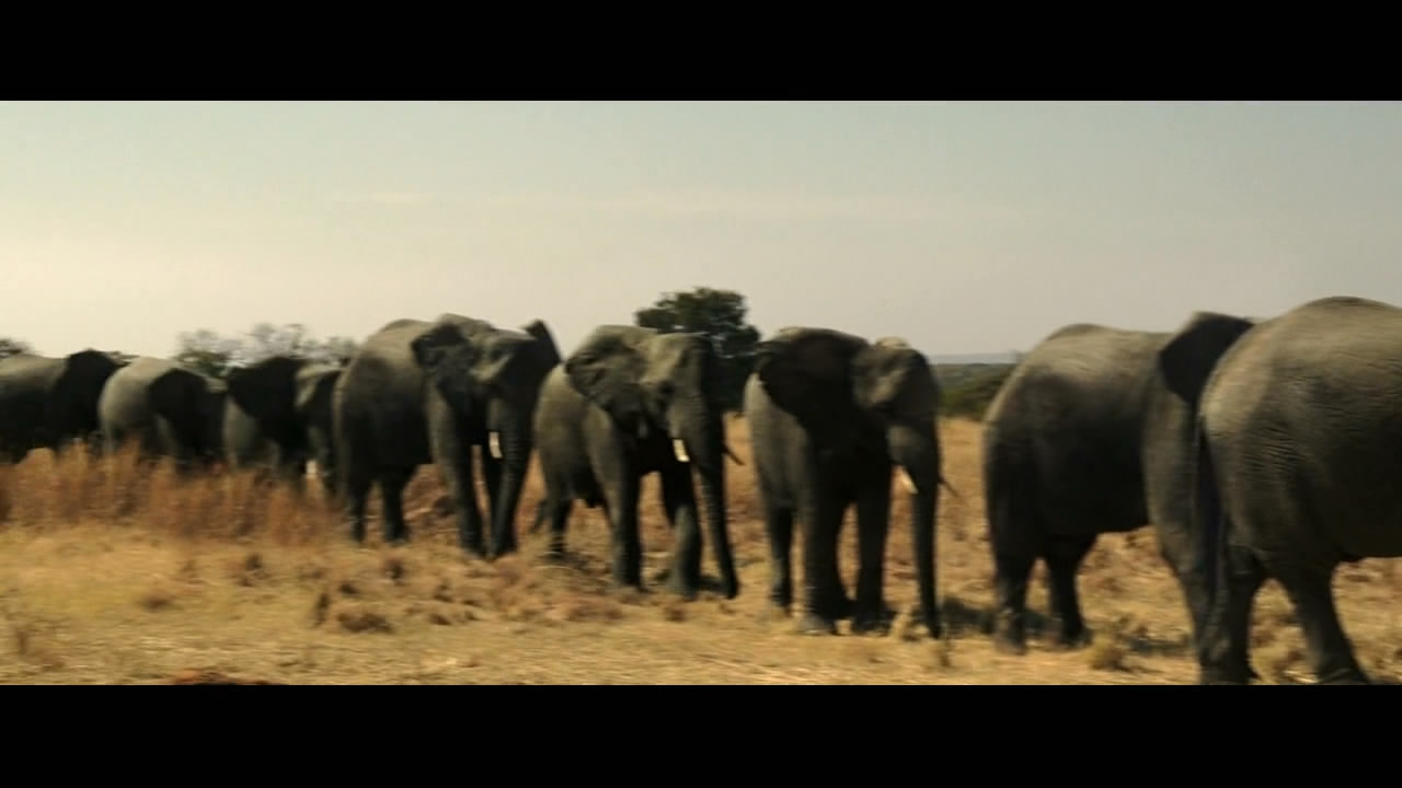 史上最可恶的汉奸视频,间谍中的间谍王牌贱谍