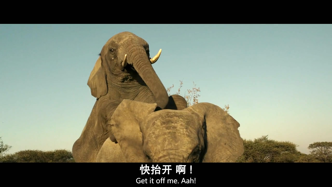 史上最可恶的汉奸视频,间谍中的间谍王牌贱谍