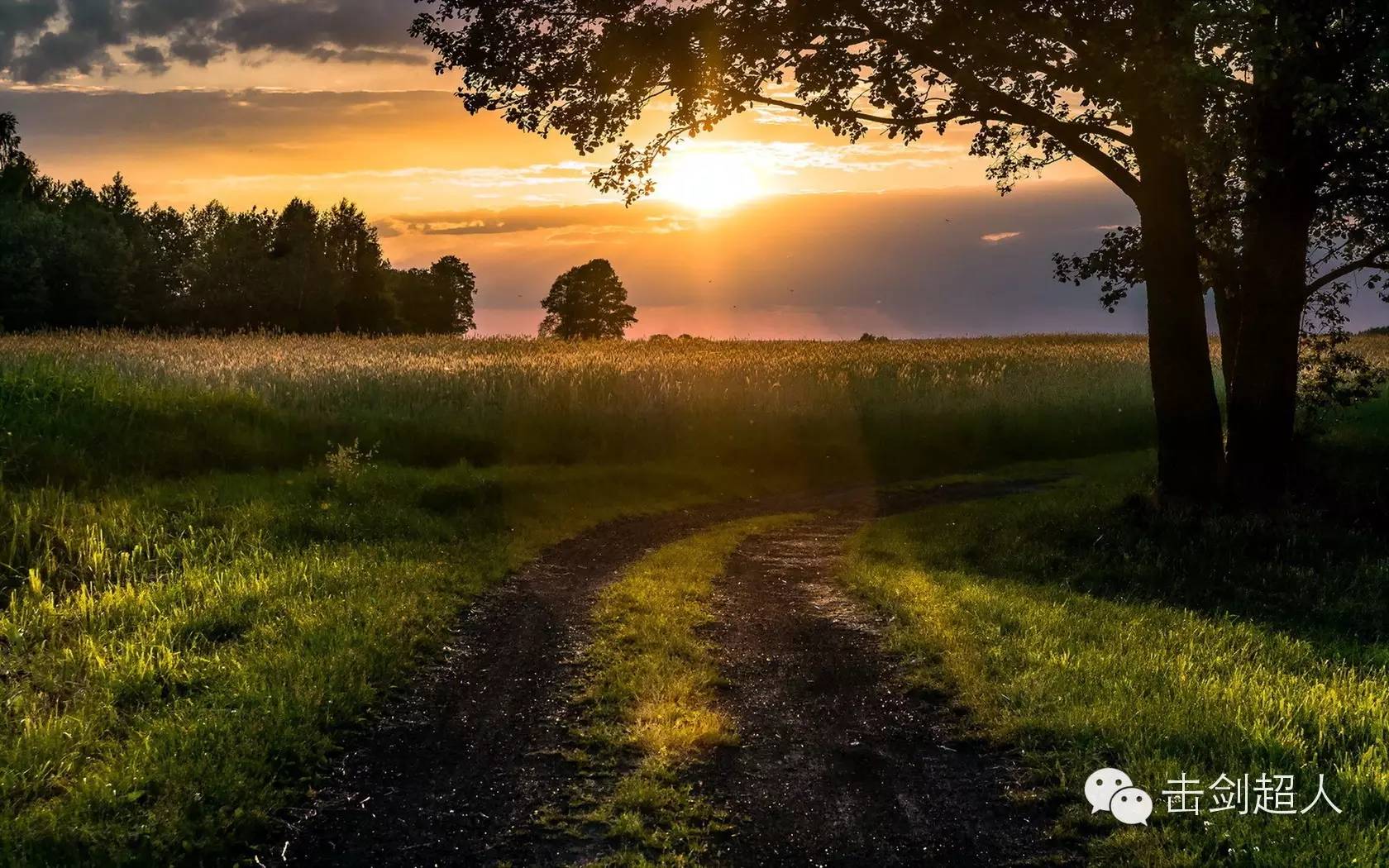 击剑最新比赛消息,击剑联赛规则