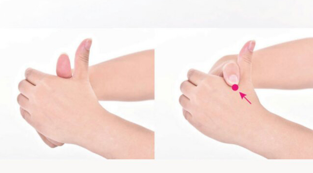 陈景润经络,中医陈景润