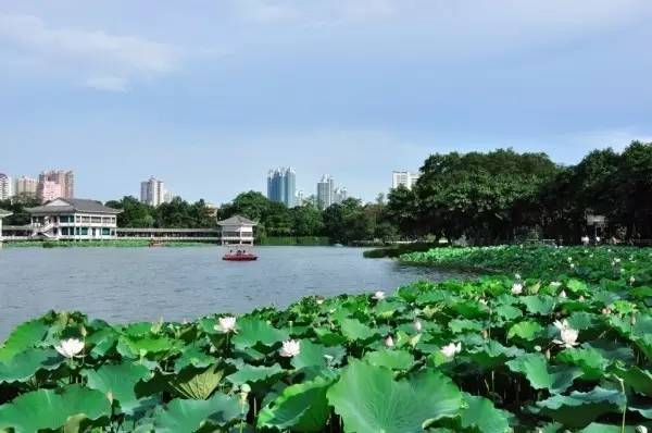 孙红雷张艺兴三仙归洞是哪一期,张艺兴孙红雷早上起床