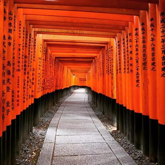 浼忚绋昏嵎澶хぞ鎬庝箞绁堢,鏃ユ湰浼忚绋昏嵎澶хぞ浠嬬粛