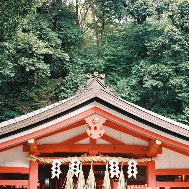 浼忚绋昏嵎澶хぞ鎬庝箞绁堢,鏃ユ湰浼忚绋昏嵎澶хぞ浠嬬粛