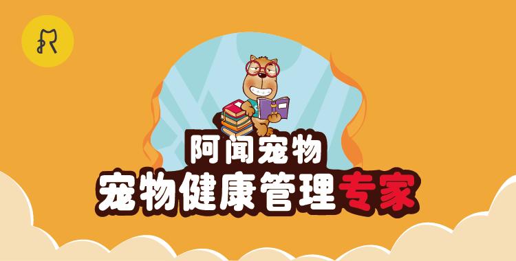 泰迪很可爱但很凶,泰迪晚上一动就凶