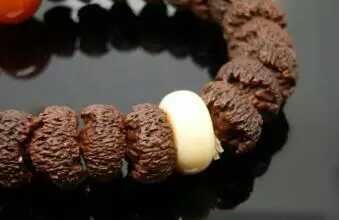 真的菩提子有哪些,真正的菩提子