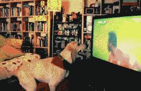 欧洲杯话术男生,欧洲杯撩妹