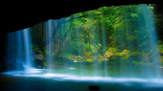 熊本熊长大后的样子,四只熊本熊图片