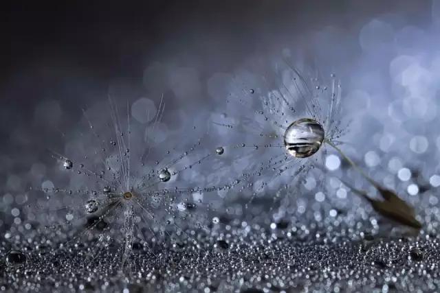 怀孕发现生殖道疱疹