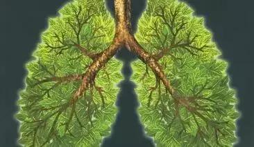 5种情况怎么免费看病,看病贵国家怎么解决