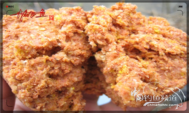 风雨无阻之我爱飞鱼去‘*欢寻**’！