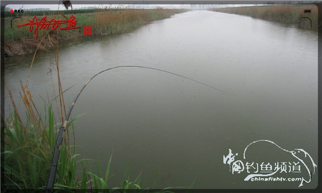风雨无阻之我爱飞鱼去‘*欢寻**’！