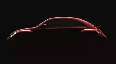 解决宠物十大皮肤问题,宠物美容避免走弯路的方法