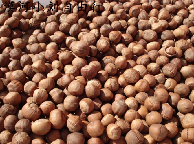 呼伦贝尔美食探店,呼伦贝尔美食攻略大全