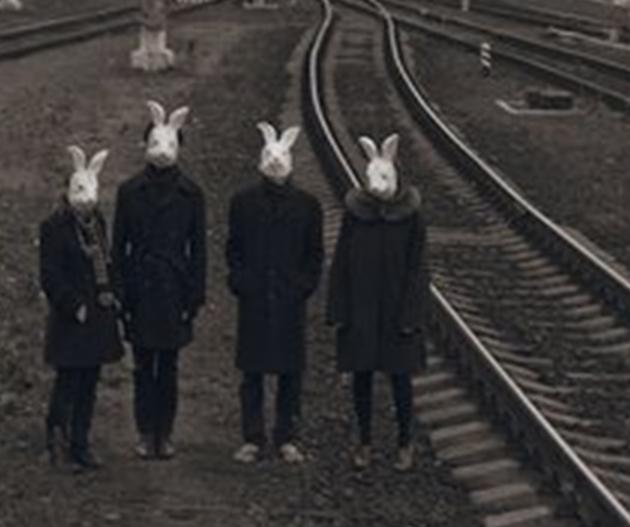 揭秘：神秘的兔子杀手隐藏在“Bunny隧道”的真相