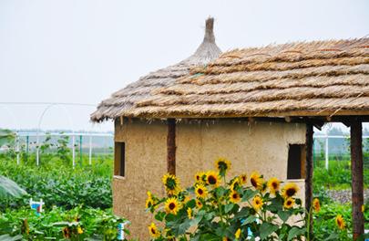 沈阳五一假期游乐场推荐,六一玩开心游乐园