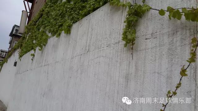 济南最好的搏击俱乐部,济南俱乐部哪家好