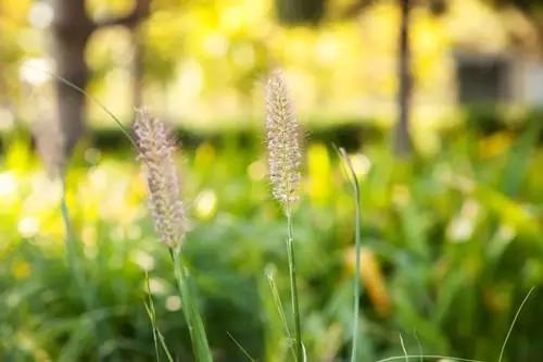 跑步时忍不住放屁怎么办！