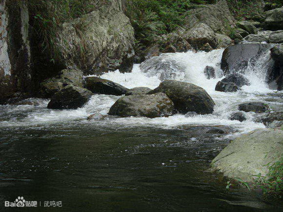 南宁十大最美农家乐推荐,南宁农家乐排行榜适合小朋友