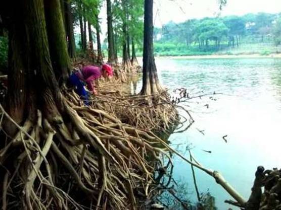 南宁十大最美农家乐推荐,南宁农家乐排行榜适合小朋友