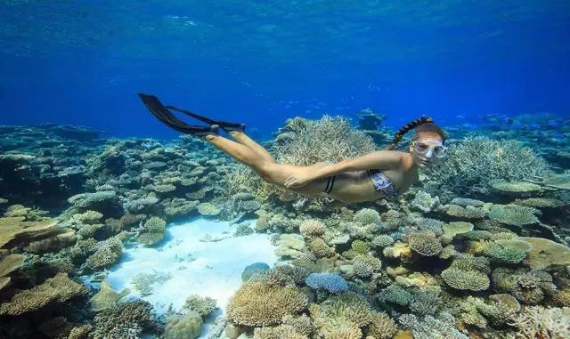 浮潜，是通向另一片世界的钥匙