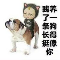 暴走漫画qq动态表情包官方版,微信表情包暴走漫画