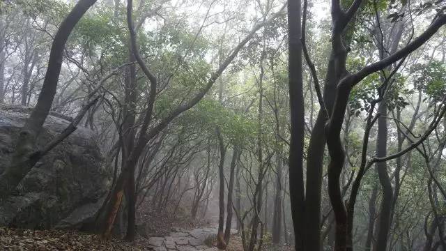 福建怎么玩最佳路线,近期福建怎么玩
