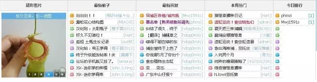 另类电商生意：把植物卖成宠物，把最冷门的做成爆款