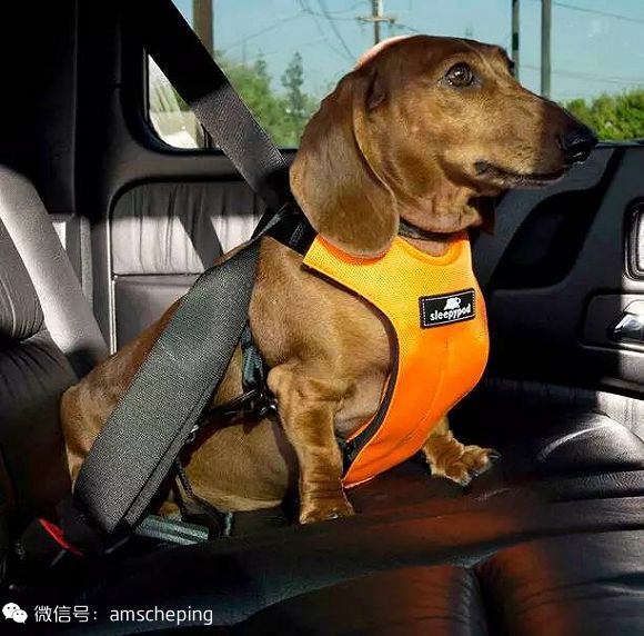 儿童座椅安在哪个位置最安全,儿童座椅买哪家的好