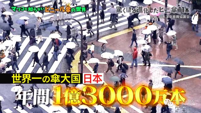 高颜值雨伞晴雨两用碎花,英国复古雨伞