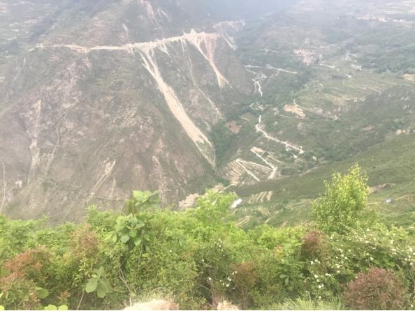 真正的高山土蜂蜜,高山老巢土蜂蜜