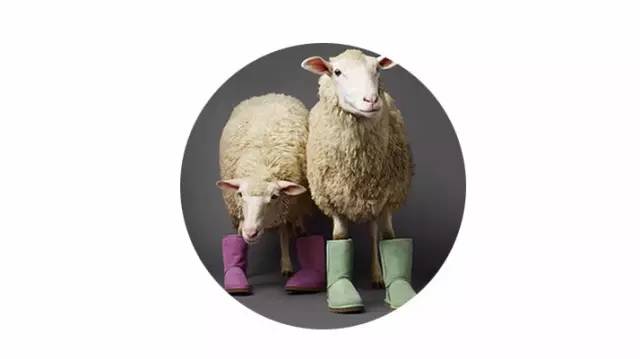 isee周年庆活动,seesaw周年庆