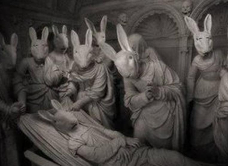 揭秘：神秘的兔子杀手隐藏在“Bunny隧道”的真相