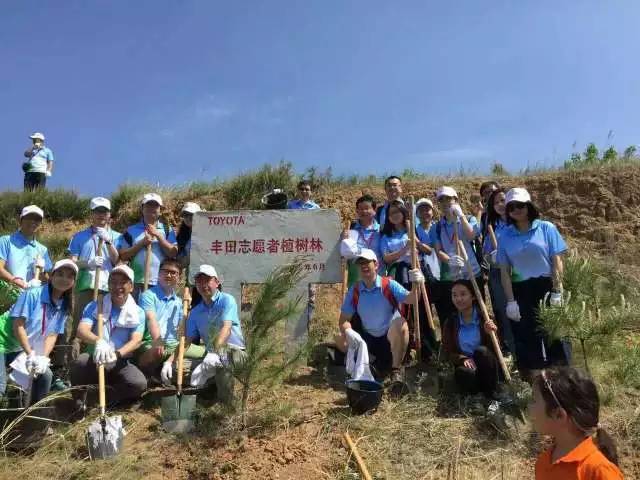 丰宁坝上植树,我去植树