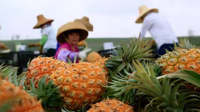 广东卫视出品的纪录片好评不断，再获三个国家级嘉奖！