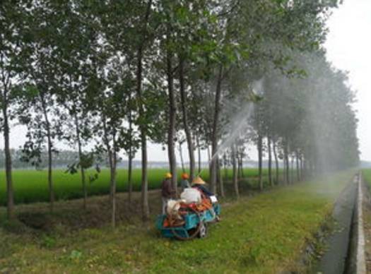 我市与中国卫星全球服务联盟签订战略合作框架协议|我市事业单位公开招聘全面启动|歼灭“美国白蛾