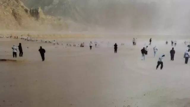 丰宁坝上植树,我去植树