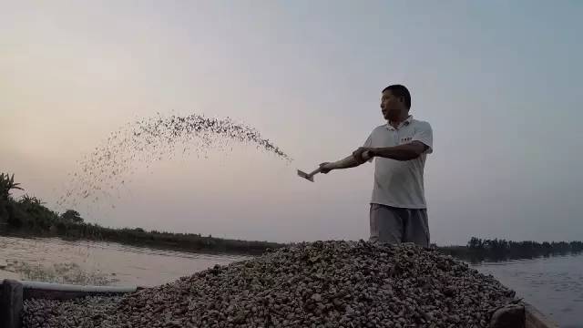 广东卫视出品的纪录片好评不断，再获三个国家级嘉奖！