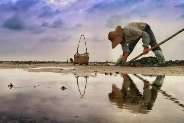 广东卫视出品的纪录片好评不断，再获三个国家级嘉奖！