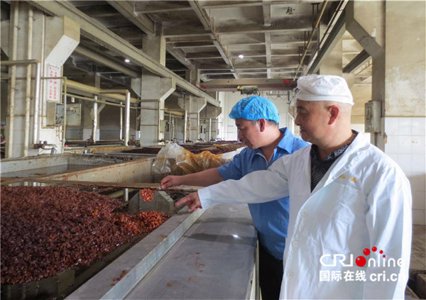 在传承中创新——张安秋和他用心守护的“川菜之魂”