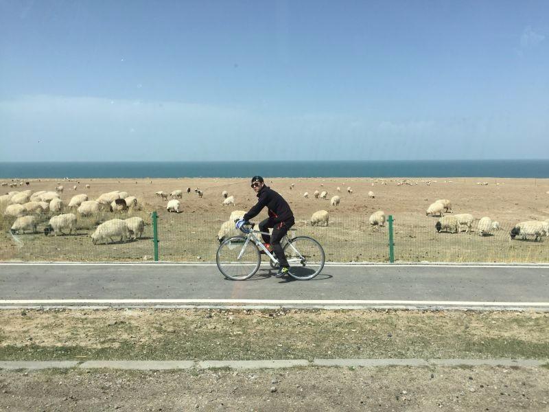 骑行青海湖旅游攻略,新手骑行青海湖有难度吗