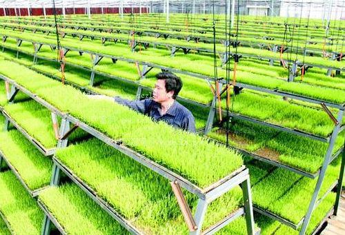 投资小的创业项目女性,适合女性在家的创业项目