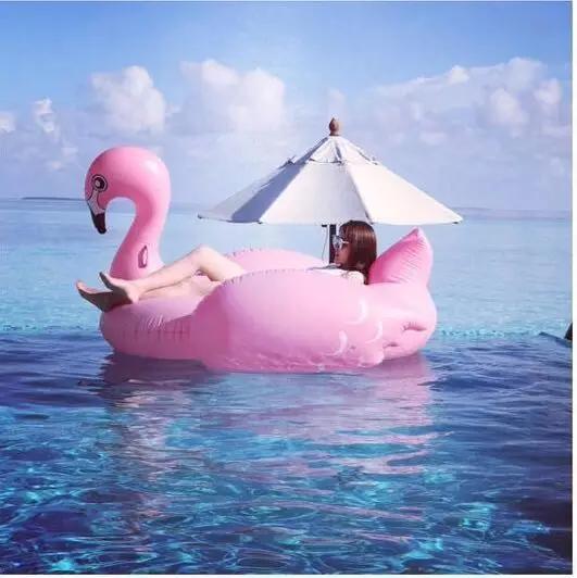 端午节来紫溪半岛戏水、泼水、泡龙舟水